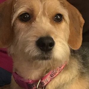 Meet your Posher, Dianna